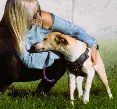 River - lieb und aufgeschlossen, Mischling - Rüde