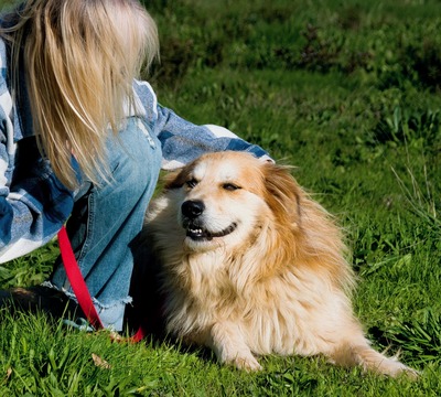 Rolex - anhänglich und aufgeschlossen, Mischling - Rüde