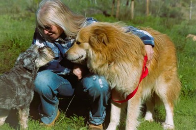 Rolex - anhänglich und aufgeschlossen, Mischling - Rüde