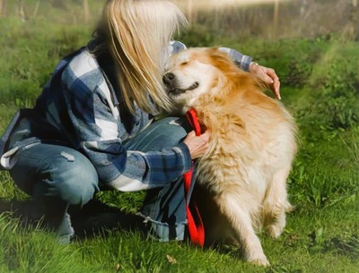Rolex - anhänglich und aufgeschlossen, Mischling - Rüde
