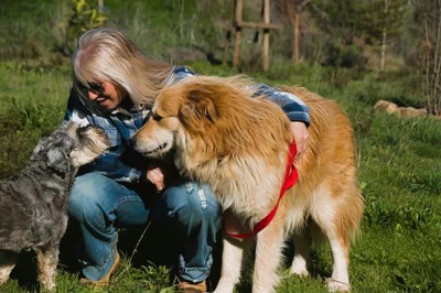Rolex - anhänglich und aufgeschlossen, Mischling - Rüde