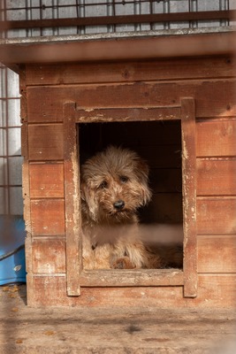Ron Weasley blickt traurig in eine ungewisse Zukunft