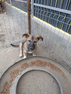 Rona und ihre Schwestern auf der Suche nach Liebe und Geborgenheit