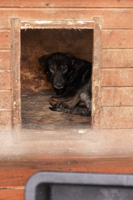 Ronja möchte endlich gesehen werden