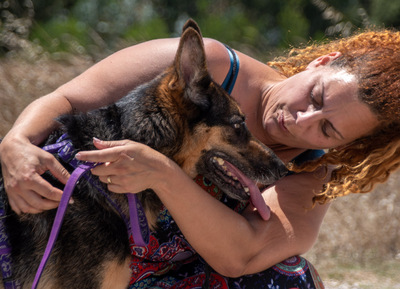 Rosa - eine Dame im besten Alter, Deutscher Schäferhund - Hündin