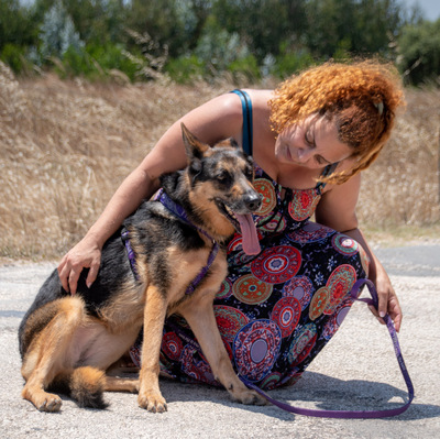 Rosa - eine Dame im besten Alter, Deutscher Schäferhund - Hündin