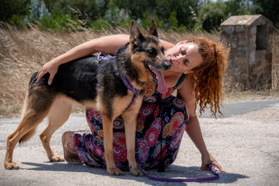 Rosa - eine Dame im besten Alter, Deutscher Schäferhund - Hündin