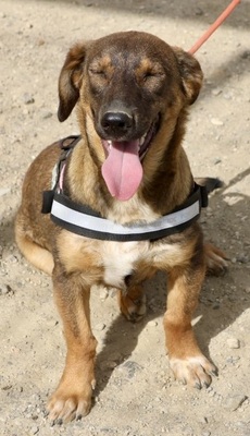 Rosita