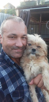 🐾 Roxy – unser strubbeliges Shelter-Zwergerl sucht dringend ihr eigenes zu Hause! 🐾, Shih Tzu - Hündin