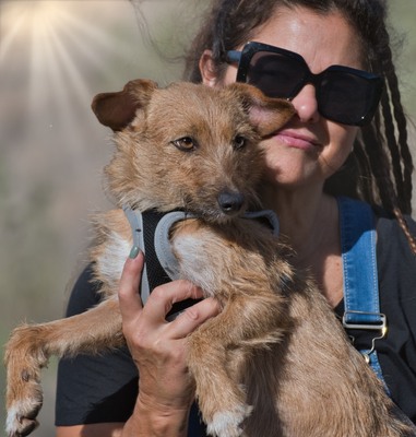 Ruggine - ein Seelchen, Mischling - Hündin