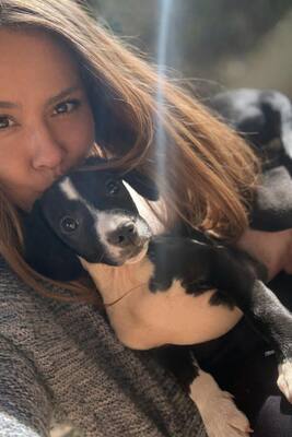 SANTO, Mischling Welpen - Rüde