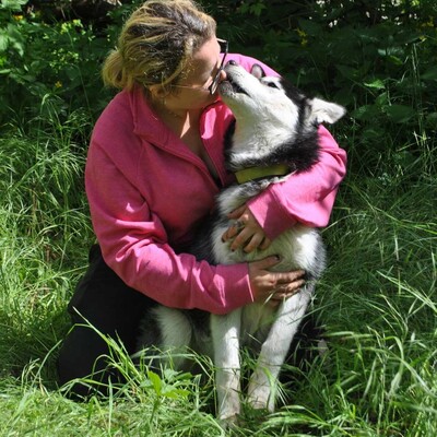 ❤️Saimon ist ein 5 Monate alter Siberian Husky der von seinem Besitzer abgegeben wurde❤️, Sibirian Husky Welpen - Rüde