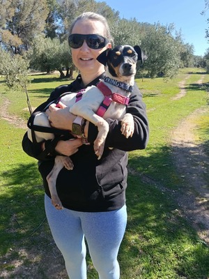 Samba, Mischling - Hündin