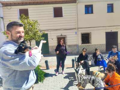 Samba, Mischling - Hündin