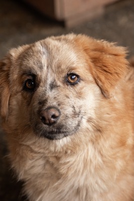 Sanfte Karla möchte endlich ankommen