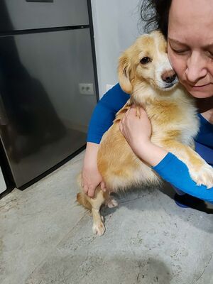 Sansa möchte endlich selbst ankommen dürfen