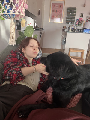 Sarai - NOTFALL Österreich, Mischling - Rüde