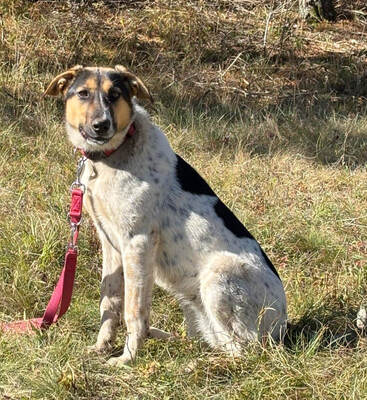 Sasy wartet auf IHRE Familie