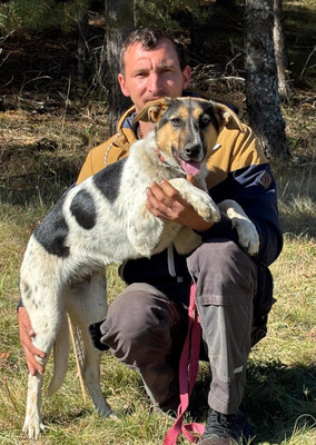 Sasy wartet auf IHRE Familie, Mischling - Hündin