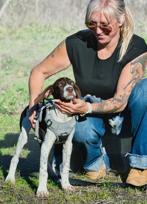Scout - bereit für Abenteuer, Typ English Pointer (kein Stammbaum) - Rüde