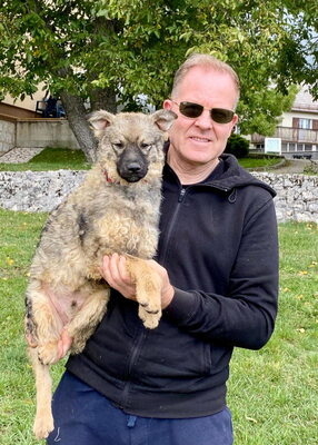 Shep möchte Teil IHRER Familie werden