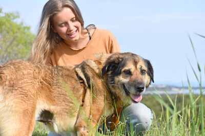 Shuma - noch im Ausland, Mischling - Hündin