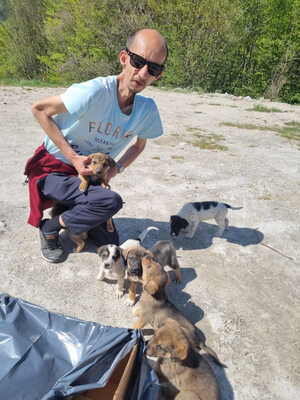 Sinatro wartet sehnsüchtig auf einen Fixplatz, Mischling - Rüde