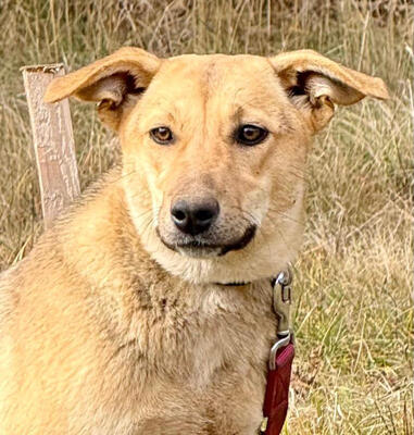 Sinela möchte Teil IHRER Familie sein