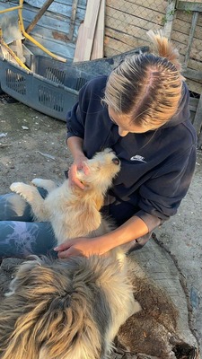 Snowy sucht ihr kleines großes Glück, Mischling Welpen - Hündin