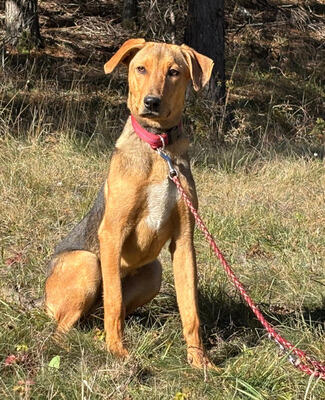 Solo sucht aktive Menschen