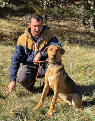 Solo sucht aktive Menschen, Mischling - Rüde