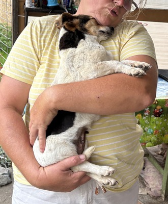 Sophia, Mix - Hündin