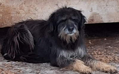 Stache wartet auf SEINE Familie-NOTFALL