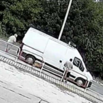 💥Steven ist freundlich, sehr sanft und lieb und liebt die Gesellschaft ruhigerer Hunde 🥰, Mischling - Rüde