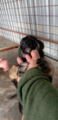 🌩️ Sturm im Herzen, Sonnenschein im Wesen – das ist Stormy! 🌩️