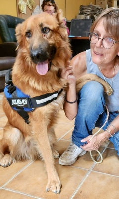 Sudan, Schäferhund -Mix - Hündin