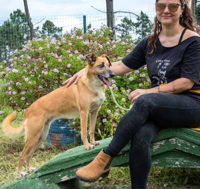 Sunny – eine selbstbewusste Dame, Mischling - Hündin