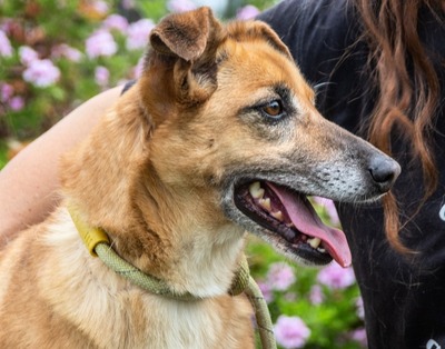 Sunny - eine selbstbewusste Dame