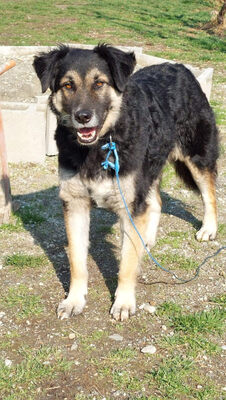 Tasso - NOTFALL Österreich