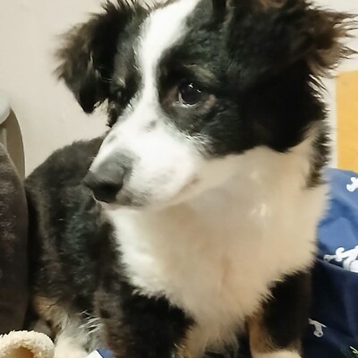 Teddy  - aufgeschlossen & freundlich 🫶