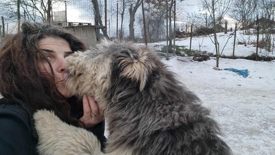 Teddy sucht Menschen mit Herz und Geduld, Mischling Welpen - Rüde