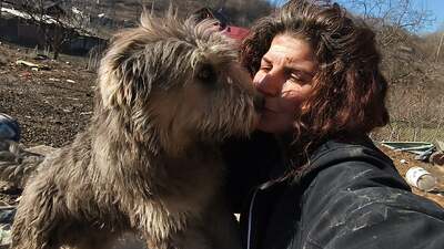 Teddy sucht Menschen mit Herz und Geduld, Mischling Welpen - Rüde