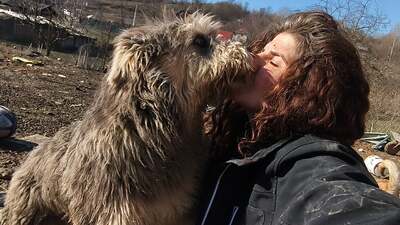 Teddy sucht Menschen mit Herz und Geduld, Mischling Welpen - Rüde