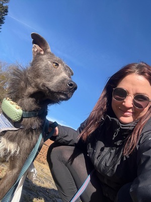 🌿 Terra, ein sanftes Herz auf der Suche nach Sicherheit und Liebe, Mischling - Hündin