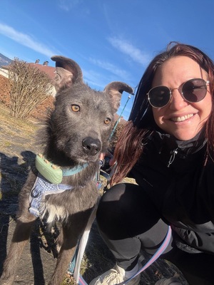 🌿 Terra – ein sanftes Herz auf der Suche nach Sicherheit und Liebe, Mischling - Hündin