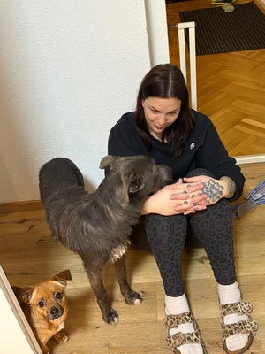 🌿 Terra – ein sanftes Herz auf der Suche nach Sicherheit und Liebe, Mischling - Hündin