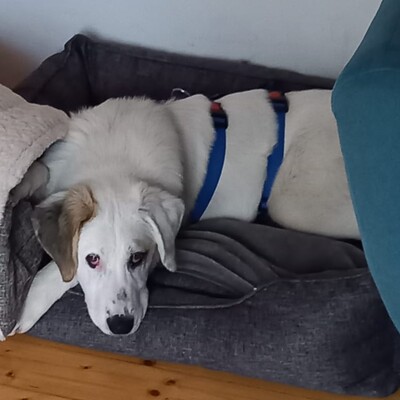 Thira - offen, freundlich, neugierig 🥰