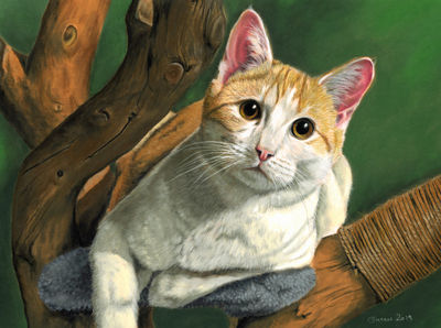 Tierporträts - Lebendige Zeichenkunst, in der Tierseelen wohnen | Einzigartige Tierporträts in Pastellkreide oder Grafit-Kohle-Mischtechnik 1
