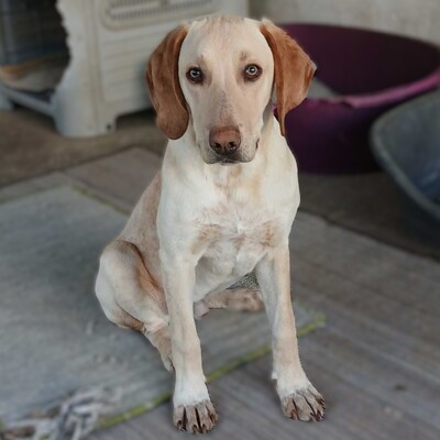 Tim -  genießt gemeinsame Momente😚