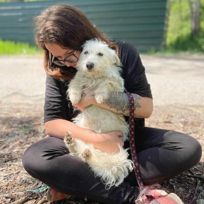 🌺Tita ist eine junge Westie- Mischlingshündin einer kleinen Rasse, die ein schönes Zuhause sucht🌷, Westie - Mischling - Hündin